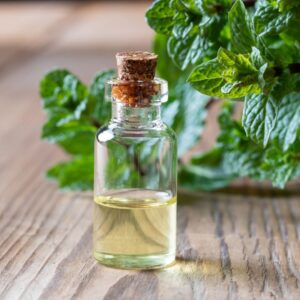 Metor Organic Peppermint Essential Oil